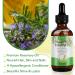 Rosemary Essential Oil for Hair Growth | 100% Organic with Scalp Massager - Nourishes & Stimulates Hair - Buy Online on GoSupps.com