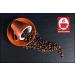 Bonini Dolce Gusto Compatible Ginseng Coffee Pods (Pack of 6 Total 96 pods) Ginseng 16 count (Pack of 6) - Buy Online on GoSupps.com