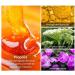 Nail Treatment Nail Renewal Solution Toenails & Fingernails Nail Repairs Essential Oil Protects From Discoloration Brittle And Cracked Nail(12ML) 1PC - Buy Online on GoSupps.com