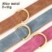 Beirui Soft Padded Leather Dog Collar - Comfortable & Durable for All Sizes | Pink XL (Neck 41-53 cm) with High-Quality Alloy Fittings - Buy Online on GoSupps.com