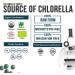 Organic Chlorella Tablets - 4 Certifications, Broken Cell Wall, Raw Sun-Grown - 120 Count - Buy Online on GoSupps.com