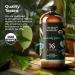Healing Solutions Organic Eucalyptus Essential Oil 16 Fl Oz Pure Eucalyptus Oil for Diffusers Sprays and Candle Making - Buy Online on GoSupps.com