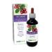 Bearberry (Arctostaphylos uva Ursi) Leaves Alcohol-Free Mother Tincture Naturalma | Liquid Extract Drops 200 ml | Food Supplement | Vegan Alcohol-free 200 ml (Pack of 1)