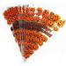 VDL Pack of 25 Halloween Sweet Cones Pumpkin themed Clear Treat Bags with Twist Ties (16x30cm) - Buy Online on GoSupps.com