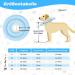 Buy Sbayool Rescue Rause Dog & Cat Adjustable Soft Recovery Collar - Prevent Licking Wounds After Surgery Blue S (Neck 20cm-23cm) - International Shipping Available - Buy Online on GoSupps.com