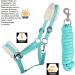 ARBO-INOX Pony Halter Set Starter - Faux Fur Halter & Lead Rope in Turquoise - Ideal for International Shipping - Buy Online on GoSupps.com
