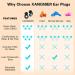 XANGNIER Reusable Silicone Ear Plugs for Sleeping - 2 Pair Noise Cancelling Earplugs for Hearing Protection and Sound Blocking - Ideal for Work, Study, Travel, Concerts, and Motorcycle - Buy Online on GoSupps.com