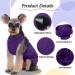 Kuoser Dog Recovery Suit - E-Collar Alternative for Male & Female Dogs Post-Surgery Comfort & Healing Anti-Lick Bodysuit Purple - Buy Online on GoSupps.com