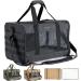 VEAGIA Pet Carrier for Medium Cats & Small Dogs - Black | Under 25 lbs - Buy Online on GoSupps.com