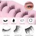 Oreola Cat Eye Lashes Set Natural Look Half Eyelashes Wispies Reusable 3/4 Half Lashes Kit 10 Pairs Corner Eyelashes Soft Lightweight Fluffy Lashes - Buy Online on GoSupps.com
