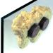 Buy Tunze Coral Rack Long (1 Piece) 0104.820 - Premium Coral Frag Rack for Aquariums | International Shipping Available - Buy Online on GoSupps.com