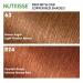 Garnier Nutrisse Color Reviver Hair Mask in Vibrant Copper 4.2 fl. oz. - Pack of 2 - Buy Online on GoSupps.com