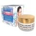 VEBA 24h Anti Wrinkle Day Cream Hyaluronic Acid 1.69 fl oz (50ml)
