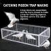 Pigeon Loft Door Pigeon Entrance Door Trap Door Pigeon House Door Racing Supplies Pet Bird Supply Product Bird cage Door - 60cm/24in - Buy Online on GoSupps.com