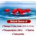 LABO Nutrition Perfect Krill EX - Ultra Strength Antarctic Krill Oil with Choline, Astaxanthin, Omega 3 - Heart & Joint Support - 60 Softgels - Buy Online on GoSupps.com