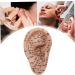 Ear Acupuncture Set - Needle & Ear Seeds for Weight Loss | Complete 7.5 Ear Model Plasters Tweezers & Guide Book - Buy Online on GoSupps.com