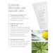Kerstin Florian Natural Chamomile Body Scrub | Exfoliating Wash for Smooth Skin | Organic Bath & Shower Skincare | 6 fl oz - Buy Online on GoSupps.com