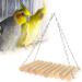 Swing Squirrels Swing Parrots-13 * 20cm Wooden Natural Stripe Round Log Parrots Hanging Swing for Chinchilla Squirrels - Buy Online on GoSupps.com