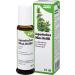 Japanese Mint Healing Oil - Natural Relief for Pain & Discomfort | Salus International Shipping - Buy Online on GoSupps.com