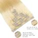 Clip in Hair Extensions Real Human Hair 8 Pieces Straight Real Remy Human Hair Full Head Human Hair Extensions Clip in Double Weft Real Remy Hair (20 Inch 613 Bleach Blonde) - Buy Online on GoSupps.com
