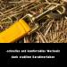 Adjustable Yellow Halter for Warmblood Thoroughbred & Cold Blood Horses | Safe Tearproof 2 Compartment Design for Stable & Pasture Use - Buy Online on GoSupps.com