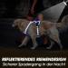 Buy Eyin Adjustable Dog Harness for Large Dogs - Breathable Reflective Padded and Adjustable - Perfect for Daily Training - Light Blue XL - Buy Online on GoSupps.com