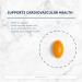 Metagenics - CoQ10 ST-100 (100 mg) - Antioxidant and Cardiovascular Support with Coenzyme Q10 Vitamin E and Zinc - 120 Softgels - Buy Online on GoSupps.com
