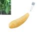 One Large All Natural Loofah Sponge Natural lufa  Exfoliating Body Scrubber  Shower loofah Sponge for Kids Men Women Dishes soap Making Reusable Organic loofah 100% Biodegradable loofah