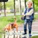 Tangle-Free Retractable Dog Lead - 8M/26FT Reflective Nylon Tape - Lock - Anti-Slip Handle - Strong & Durable Walking Leash for S to L Dogs - Strong and Stylish Grey Design3M pink 3M Pink - Buy Online on GoSupps.com
