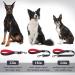 Vivaglory Short Dog Leash - 32cm Traffic Leash for Medium & Large Dogs - Black/Red - Buy Online on GoSupps.com