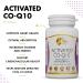 Activated CO-Q10 by Coco March - Heart Health Support & Natural Energy - Gluten Free Soy Free - 60 Softgels - Buy Online on GoSupps.com