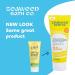 Seaweed Bath Co. Active Defense SPF 50 Sport Broad Spectrum Hybrid Sunscreen Cream - 3.4oz - Sustainably Harvested Seaweed, Aloe & Watermelon - Buy Online on GoSupps.com