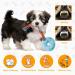 Rio Direct Plush Dog Toys for Small Dogs - 8 Quieted Cotton Rope Toys Non-Toxic & Washable Puppy Toys in Cute Rabbit Style - Buy Online on GoSupps.com