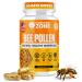 HONEYBEEZONE 100% Raw Bee Pollen Granules in 60 Veggie Capsules High in Essential B-Complex for Metabolism & Energy - Gluten Free & Non-GMO - Protein & Antioxidants Immune Support & Vitality
