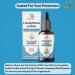 L-Methylfolate 15mg + Methyl B12 Liquid Drops High Potency Sublingual Formula with Natural Berry Flavor Active 5-MTHF & Bioactive B12 for Mood Cognitive Health & Methylation Support (2oz) - Buy Online on GoSupps.com