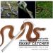 Snake Hook Retractable Snake Rod Stainless Steel Snake Catcher for Snake Lovers Catching Handling Grabber Separate Small Pet Snake 26.77-6.49 Inch - Buy Online on GoSupps.com