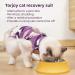 TORJOY Pet Recovery Suit | Abdominal Wound Protection | Cone E-Collar Alternative | Anti-Licking & Skin Disease Relief | Surgical Pajama Onesie for Cats | Soft Fabric | Purple Camouflage | Large - Buy Online on GoSupps.com