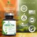 Green Tea Extract 98% Standardized EGCG - 3X Strength for Natural Energy & Heart Support - 240 Capsules - Buy Online on GoSupps.com