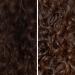 Cocunat Curl Moisturizer Leave-In | Define & Moisturize Curls | Frizz Control | Maximum Hydration | Curly Method | 150 ml - Buy Online on GoSupps.com