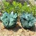 for Natural Green Ghost Phantom Quartz Crystal Cluster Rock s and Crystals Specimen Home Decor - Buy Online on GoSupps.com