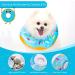 Nobleza Soft Adjustable Cat Recovery Collar - Small Elizabethan Cone for Kitten After Surgery - Buy Online on GoSupps.com