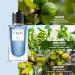 Ci'ccio Blue Eau De Perfume For Men With Citrus Lemon Bergamot Premium Long Lasting Woody Aquatic Liquid Fragrance Scent Perfect Perfume For Summer 100ml - Buy Online on GoSupps.com