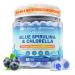 Organic Blue Spirulina Chlorella Gummies Superfoods & Excellent Source of Vegan High Phycocyanin Chlorophyll B-Complex Essential Minerals for Energy Antioxidants Det x Sugar Free 60 Cts 60 Count (Pack of 1)