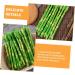 HOMSFOU 50 Pcs Simulated Asparagus Ornaments Fake Vegetables Asparagus Decor Fake Plastic Lifelike Vegetables Faux Asparagus Fern Plastic Vegetables Model Fake Food Model Sample Pvc Plant Light Greenx5pcs 19X0.9CMx5pcs - Buy Online on GoSupps.com