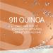 Biotop Professional 911 Quinoa Serum | Repair Frizzy & Damaged Hair | UV & Heat Protectant | 2.2 Oz - Buy Online on GoSupps.com