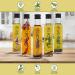 Olive Oil with Pepper 250ml - Olive Oil with Pepper Grains - A Mix of Four Peppers - Olive Oil with Spices - Fresh Olive Oil - Cooking Olive Oil - Good for Salad - Buy Online on GoSupps.com