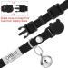Personalized Breakaway Cat Collar with Engraved Name Tag - Adjustable Kitten Safety Collar with Bell - 7 Colors - Customizable up to 3 Lines of Text - Buy Online on GoSupps.com