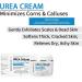 Urea 40% Foot Cream Cracked Heel Repair Cream Callus Remover For Dry And Hard Skin Feet and Hand Urea Lotion for Feet Maximum Strength Foot and Body Care - Buy Online on GoSupps.com
