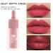 Sovoncare Matte Liquid Lipstick 602 - Long Lasting Waterproof Lip Stain with High Pigment Color - Buy Online on GoSupps.com