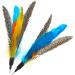 onebarleycorn Cat Toys Feather Refills for Cat Wand Toys Interactive include Replacement Feathers 1 Count (Pack of 1) - Buy Online on GoSupps.com